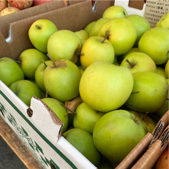 McIntosh Apples - CooksInfo