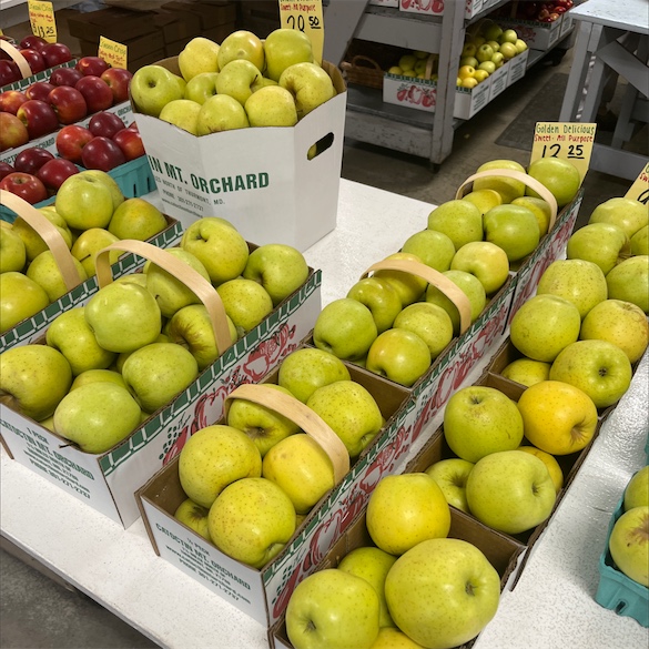 Apple - Golden Delicious - tasting notes, identification, reviews