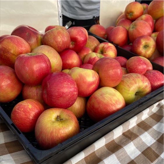 Honeycrisp apples 🍎 🍁 Uncover the secrets behind their unique