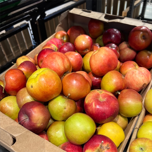 Idared - New York Apple Association