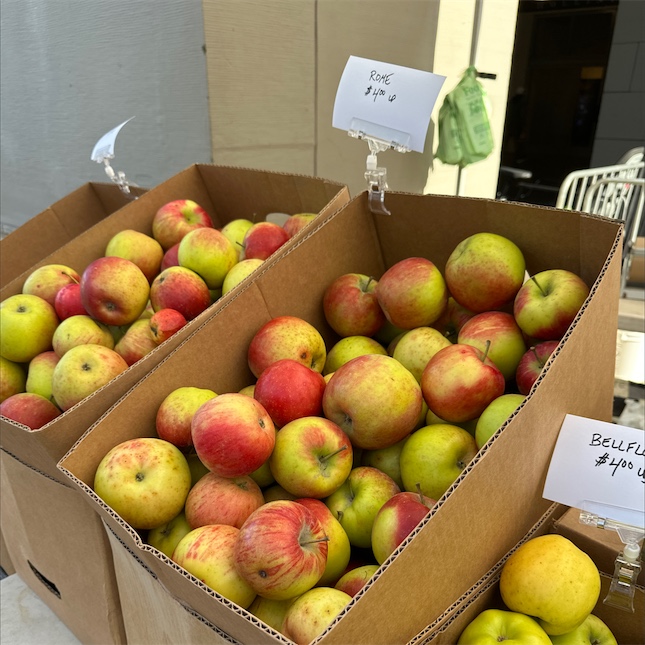 Rome Beauty - New England Apples