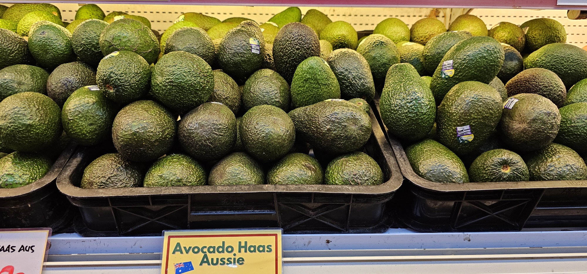 Hass Avocado - 6s - Dole® Sunshine