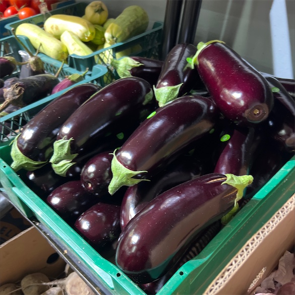 The Perlina Eggplant  Story and characteristics