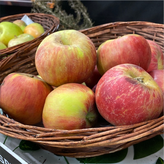 Meet 'Cosmic Crisp,' a New Hybrid Apple That Stays Fresh for a Year, Smart  News