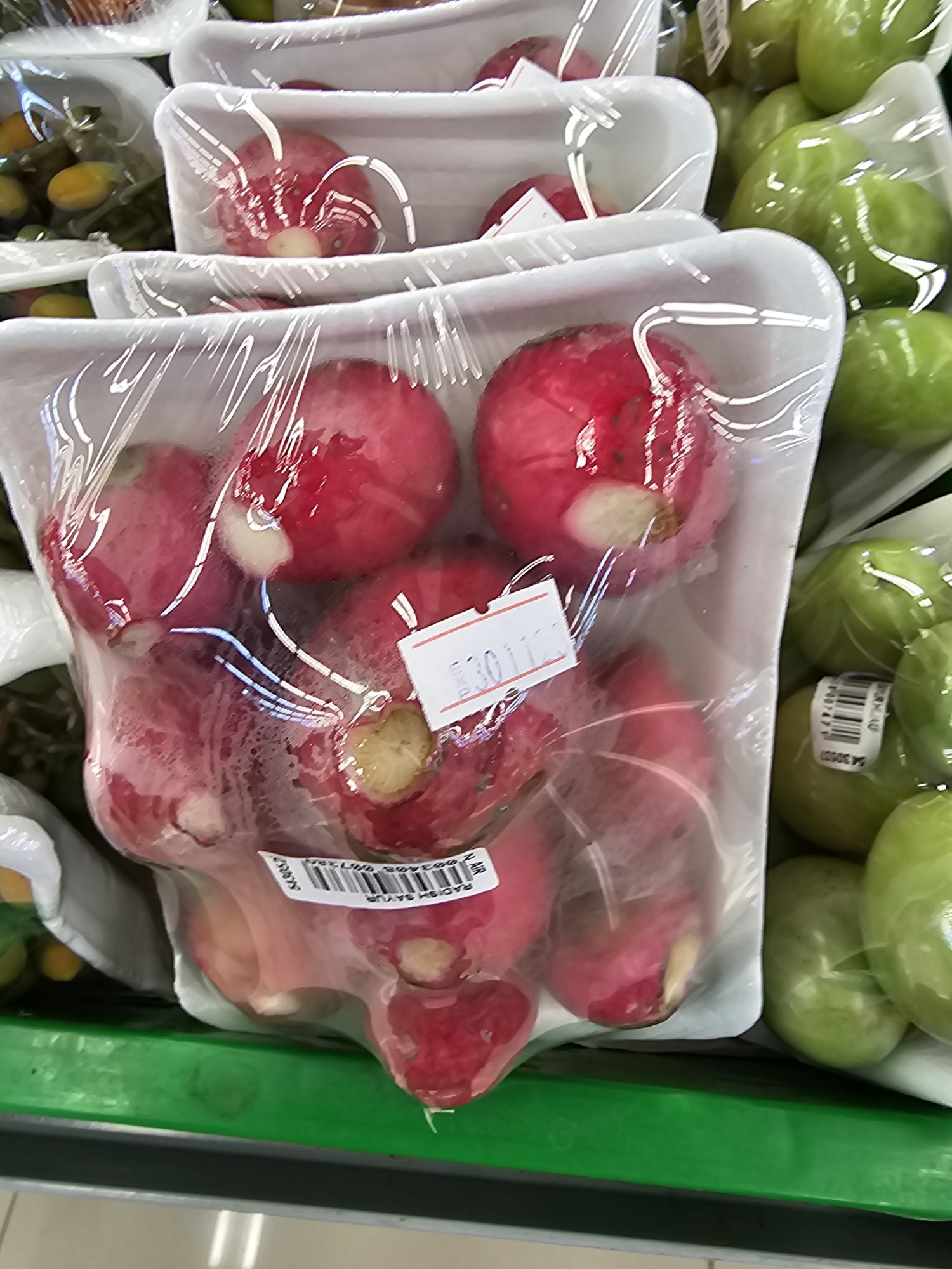 Red Radish Information and Facts