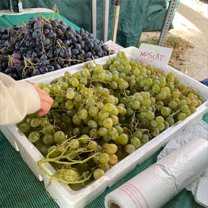 Green Muscato Grapes — Melissas Produce