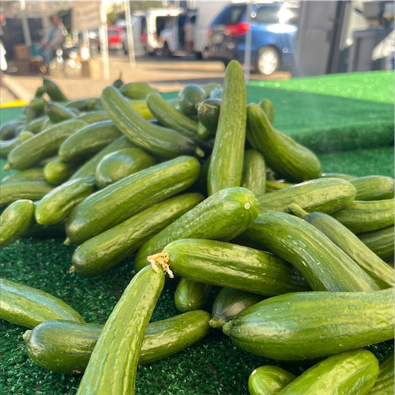 A Grade Green Fresh Organic English Cucumber (Kheera)