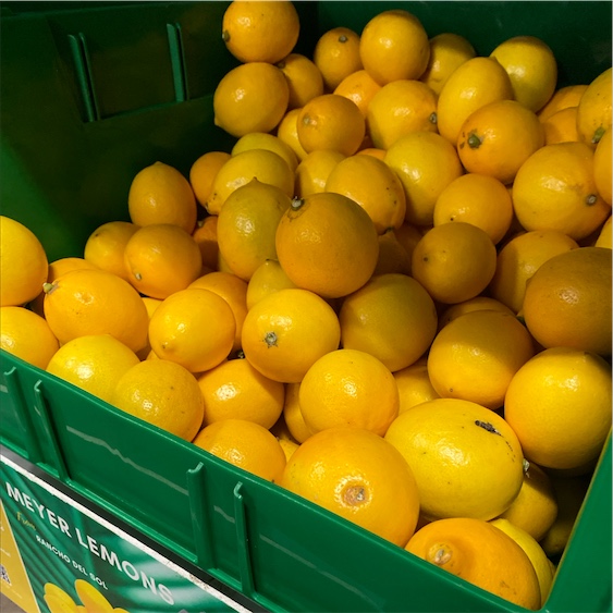 Meyer Lemon — Citrus Men