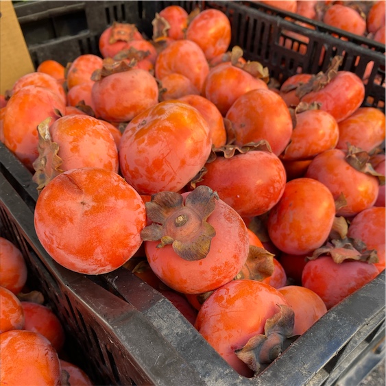 PERSIMMON LITTLE GEMS WALNUT SALAD - The Kitchy Kitchen