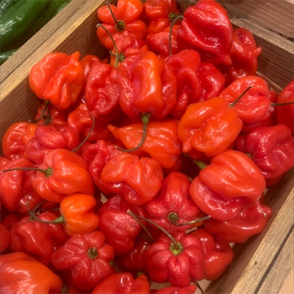 Scotch bonnet chilli Peppers(Hot pepper) 150g